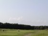 Rum Pointe Golf Course _fairway
